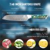 Damascus Steel Chef Knife 8 Inch, Santoku Knife, Boning Knife, Japanese Professional 10Cr15MOV Blade With Hand Forged Hammer Pattern